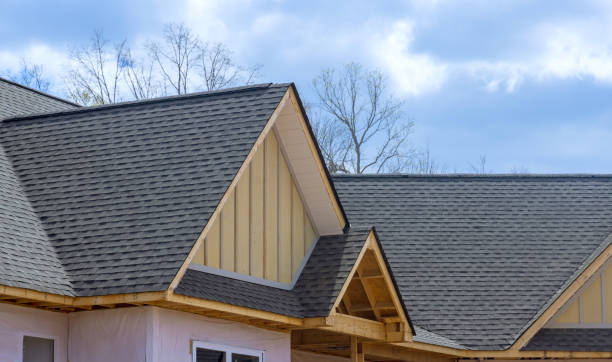 Best Skylight Installation and Repair  in Shady Spring, WV