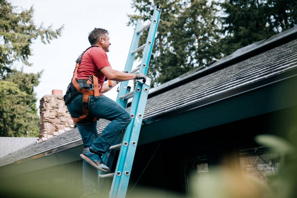 Best Roof Coating and Sealing  in Shady Spring, WV